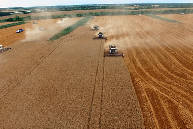 Минсельхоз: кредитование сезонных полевых работ в РФ с начала года увеличилось на 38%