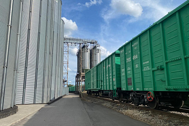 Курская область наращивает экспорт продукции АПК