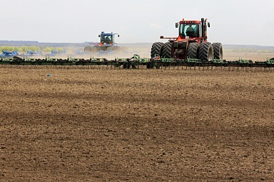 Кабмин направит трем регионам более 800 млн рублей на обновление сельхозпредприятий