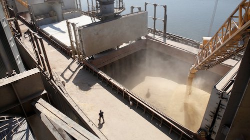 Путин: Россия до конца сельскохозяйственного года экспортирует 55-60 млн тонн зерна