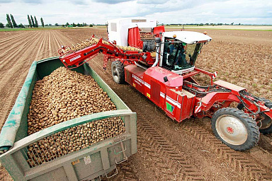 Запасы зерна в сельхозорганизациях России в сентябре выросли на 42,5%