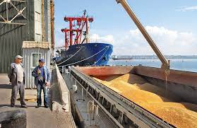 Минсельхоз установил дополнительную квоту на экспорт зерна в 2023 году
