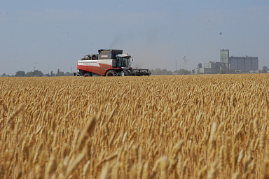 В Саратовской области собран первый миллион тонн зерна