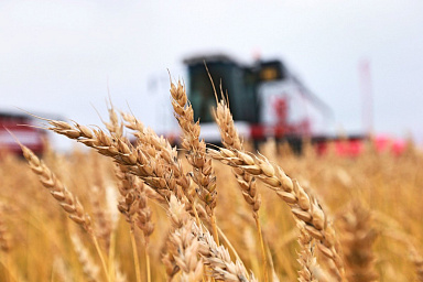 Россия закупила в интервенционный фонд 33,9 тыс. тонн зерна на 519,2 млн рублей