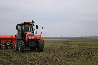 В Запорожской области завершена подкормка озимых культур