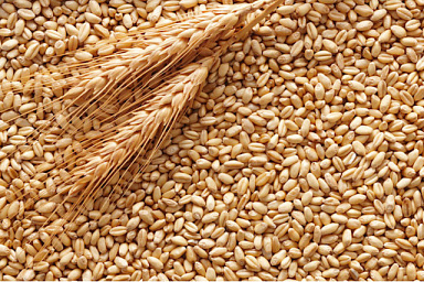 Цены на пшеницу отвязали от покупателя