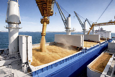 Товарооборот продукции АПК между Россией и Египтом за I квартал вырос на 7%