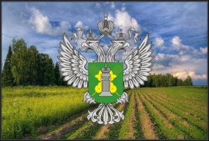 Россельхознадзор вывел на ЕПГУ 5 новых государственных услуг и разрешительных видов деятельности