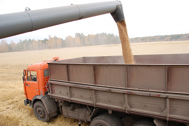 Производителям зерна дополнительно выделят 10 млрд рублей