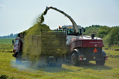 В Рязанской области начали заготавливать корма для животноводства