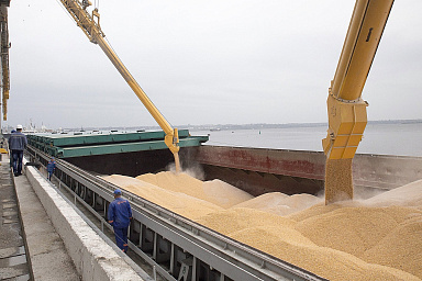 Россия в 2024 году экспортировала 109 млн тонн продукции АПК