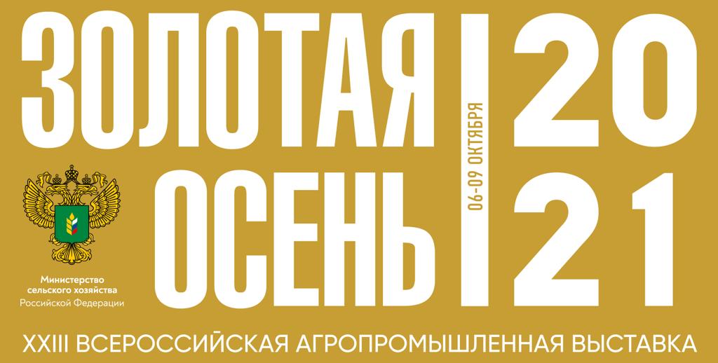 золотая осень 2021 золотая осень 2021