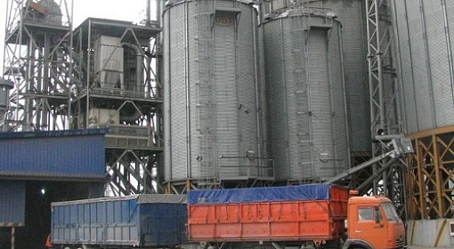 В России упростили правила проведения зерновых интервенций