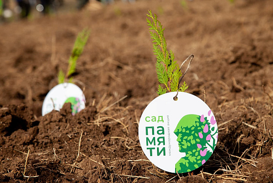 В марте стартует VII сезон Международной акции «Сад Памяти»