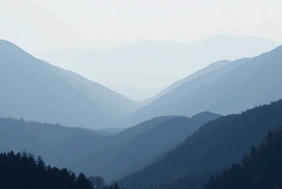 Число посетивших РФ иностранных туристов в 2025 году выросло на 15%