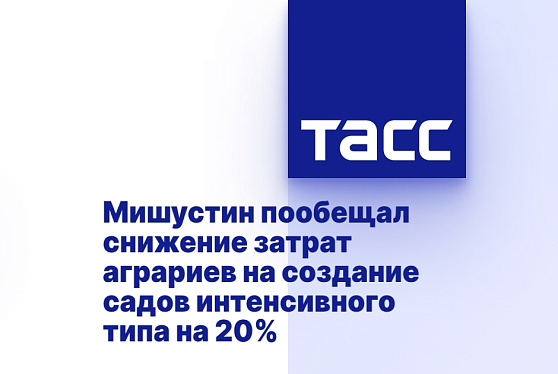 Мишустин пообещал снижение затрат аграриев на создание садов интенсивного типа на 20%