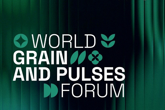 Продовольственная безопасность и перспективы зернового рынка: Группа ОЗК на форуме в Дубае