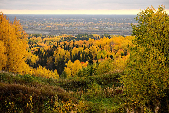 До 2030 года на реализацию федерального проекта «Сохранение лесов» предусмотрен 71 млрд рублей