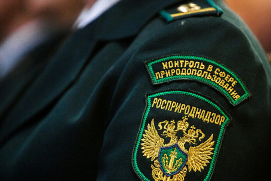 Светлана Радионова доложила Владимиру Путину о работе Росприроднадзора