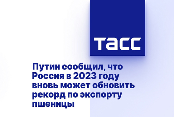 Путин сообщил, что Россия в 2023 году вновь может обновить рекорд по экспорту пшеницы