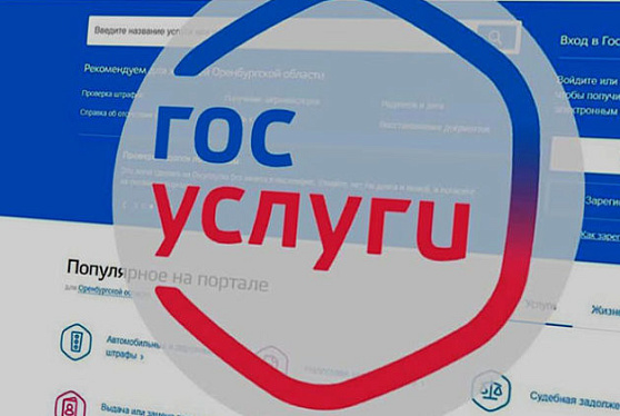 "Госуслуги" насчитывают более 1,6 тыс. услуг