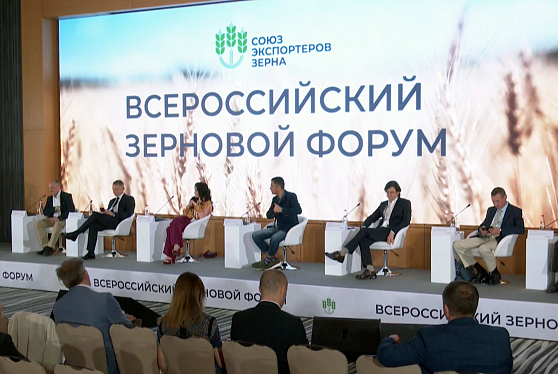 Ксения Боломатова: Ситуация требует структурных преобразований
