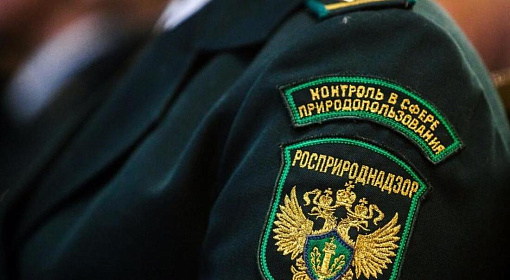 Росприроднадзор начинает эксперимент по консультированию бизнеса в России