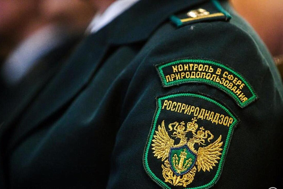 Росприроднадзор начинает эксперимент по консультированию бизнеса в России