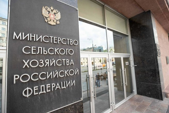 Минсельхоз допустил финансирование госпрограммы АПК на уровне 375 млрд рублей в 2023 году
