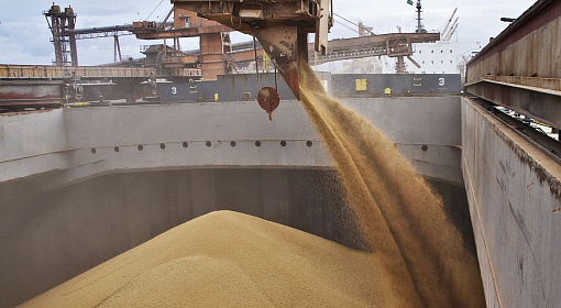 ОЗК планирует отправлять на экспорт до 1 млн т зерна через Приморский универсально-перегрузочный комплекс