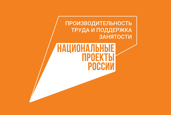 Платформа нацпроекта «Производительность труда» по цифровизации бизнеса охватила 3000 предприятий