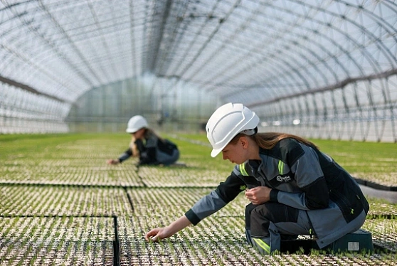 Урожайные технологии: как российский АПК развивает селекцию и генетику