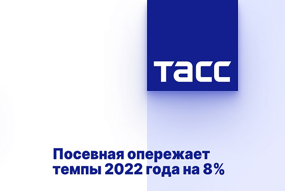 Посевная опережает темпы 2022 года на 8%