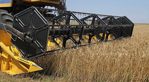 План закупок в зерновой фонд России выполнен на 17%