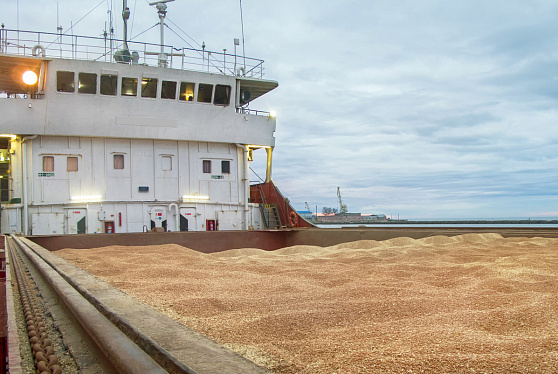 Патрушев: Россия готова наращивать поставки продуктов на глобальный рынок