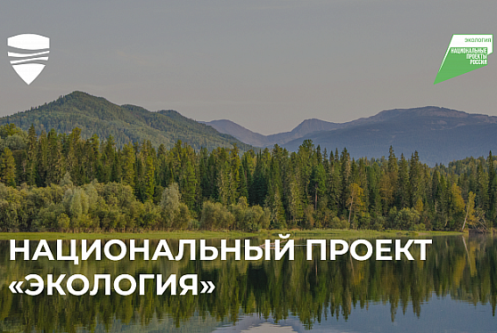 Нацпроект «Экология»: 15 регионов начинают новые мероприятия по оздоровлению рек