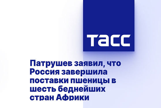 Патрушев заявил, что Россия завершила поставки пшеницы в шесть беднейших стран Африки