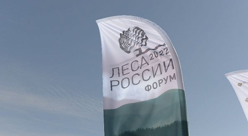 В Красноярске стартовал форум «Леса России»