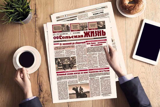 Достойные результаты и планы на будущее