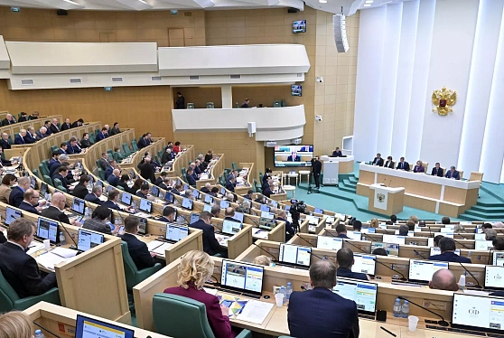 Совет Федерации одобрил закон об упрощении процедуры госзакупок