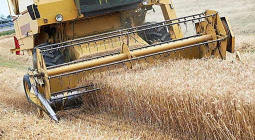 Закупки зерна в госфонд России превысили 14 тысяч тонн