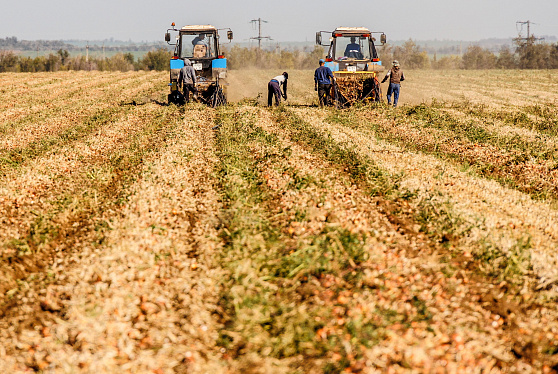 ВТБ тестирует выплаты субсидий фермерам в цифровых рублях