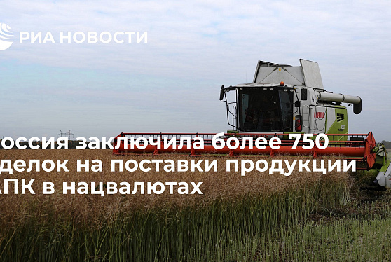 Россия заключила более 750 сделок на поставки продукции АПК в нацвалютах