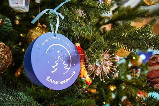 Стартует всероссийская акция "Елка желаний"