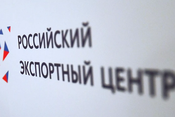 РЭЦ: три направления логистики помогут России переориентировать экспорт