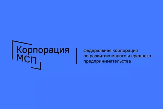 В России запущена первая программа "выращивания" МСП-поставщиков