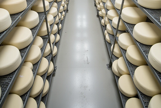 Российский экспорт молочной продукции в 2025 году превысил $500 млн