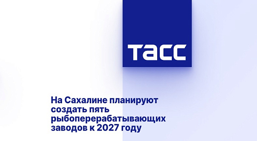 На Сахалине планируют создать пять рыбоперерабатывающих заводов к 2027 году