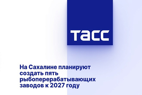 На Сахалине планируют создать пять рыбоперерабатывающих заводов к 2027 году