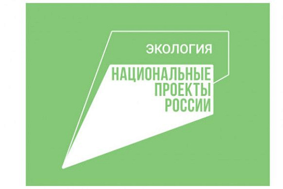 Реализацию нацпроекта "Экология" планируют продлить на шесть лет
